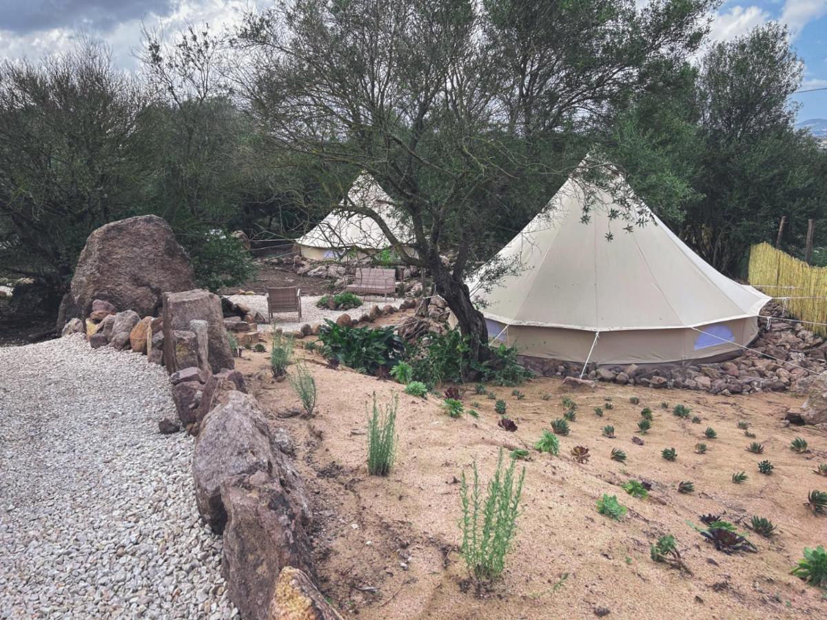 Отель Pasare Glamping_Anglonaruralexperience Перфугас Экстерьер фото