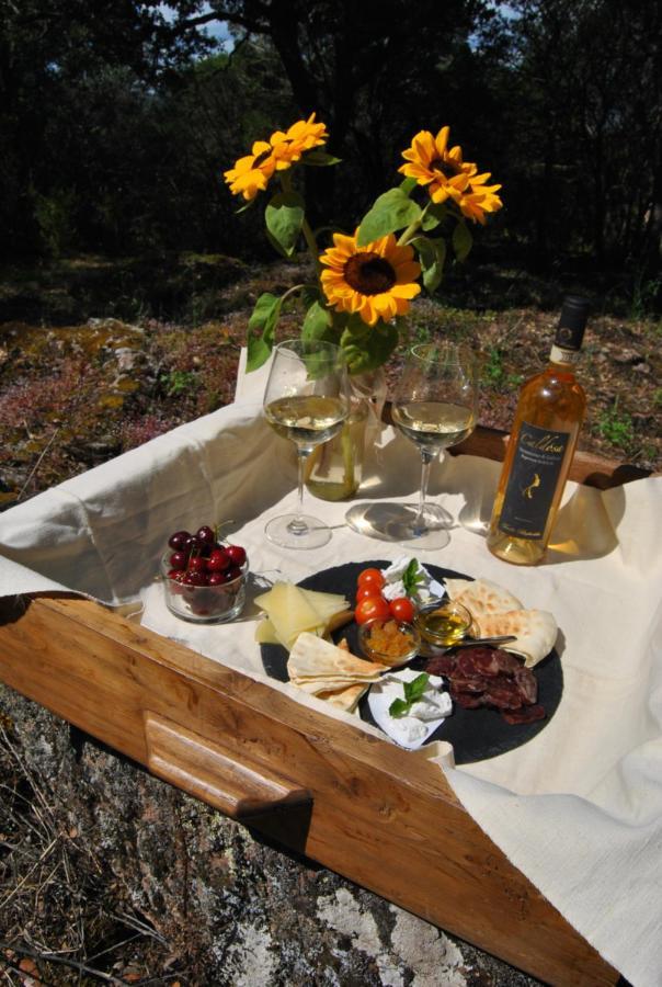 Отель Pasare Glamping_Anglonaruralexperience Перфугас Экстерьер фото